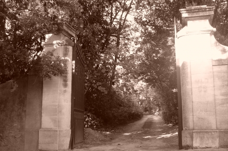 Les Erables